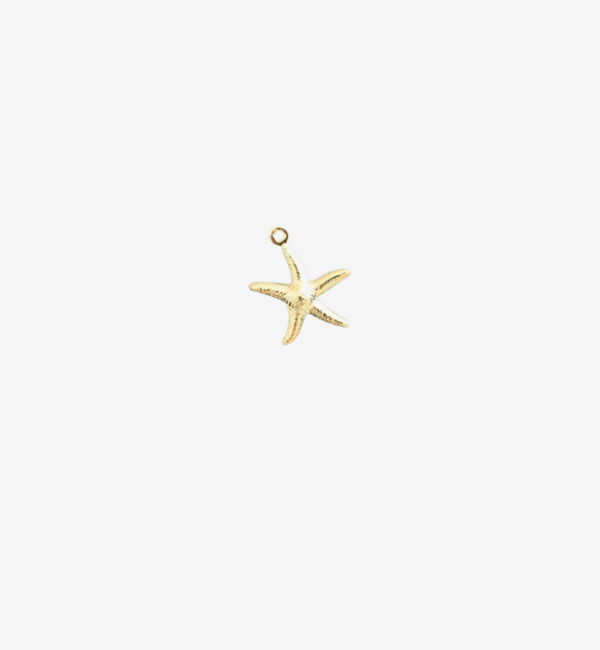 "Coastal Star" Charm