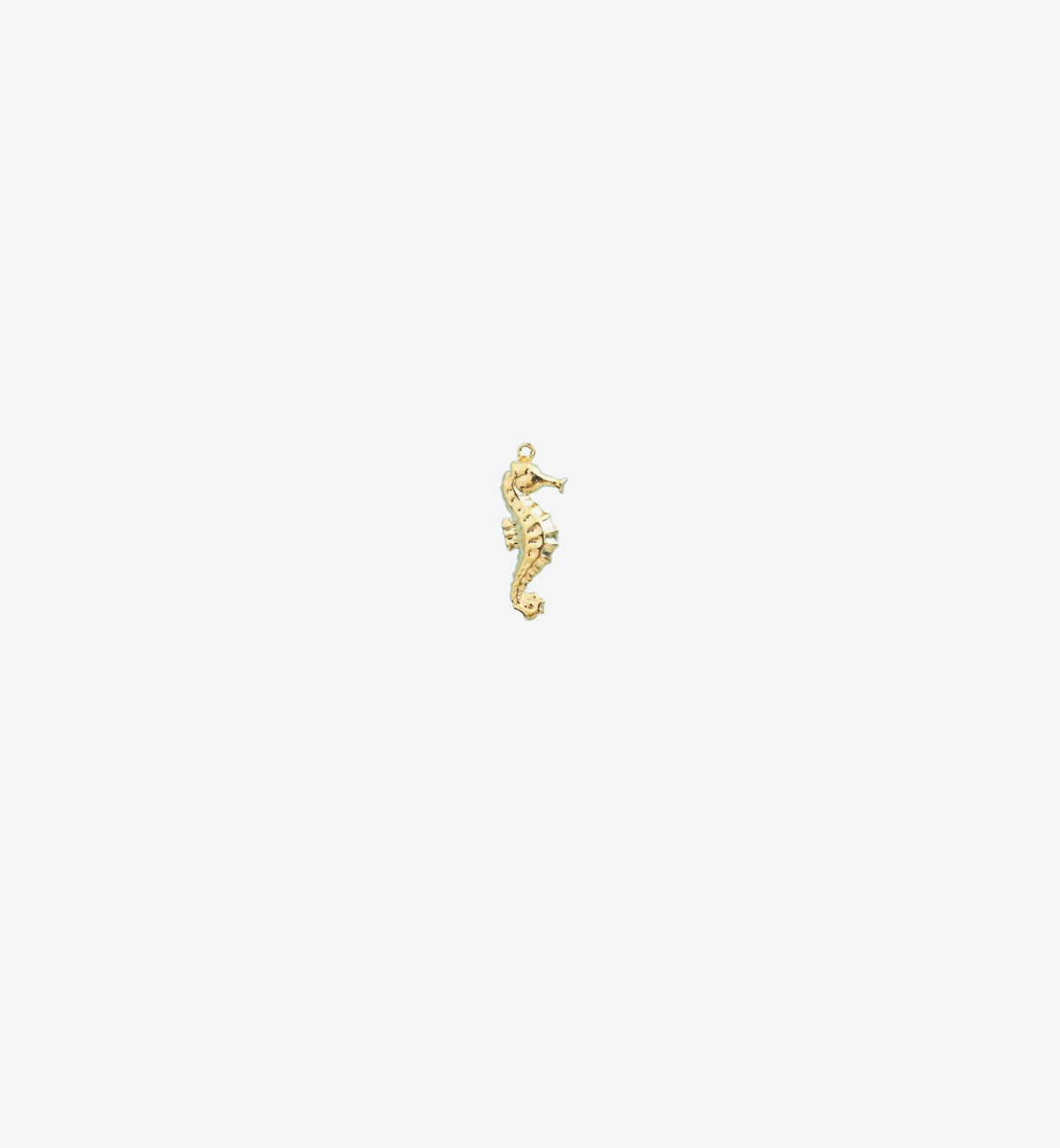 Ocean's Little Treasure Seahorse Charm