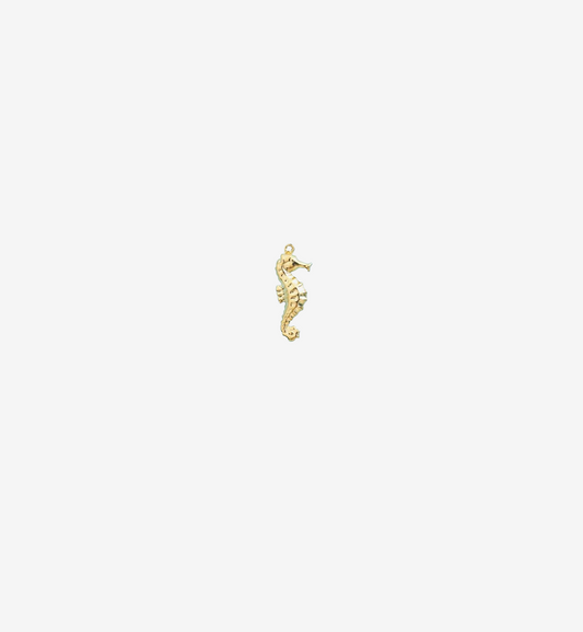 Ocean's Little Treasure Seahorse Charm